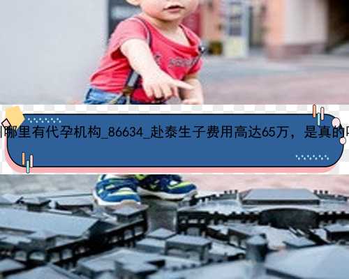 广州哪里有代孕机构_86634_赴泰生子费用高达65万，是真的吗？